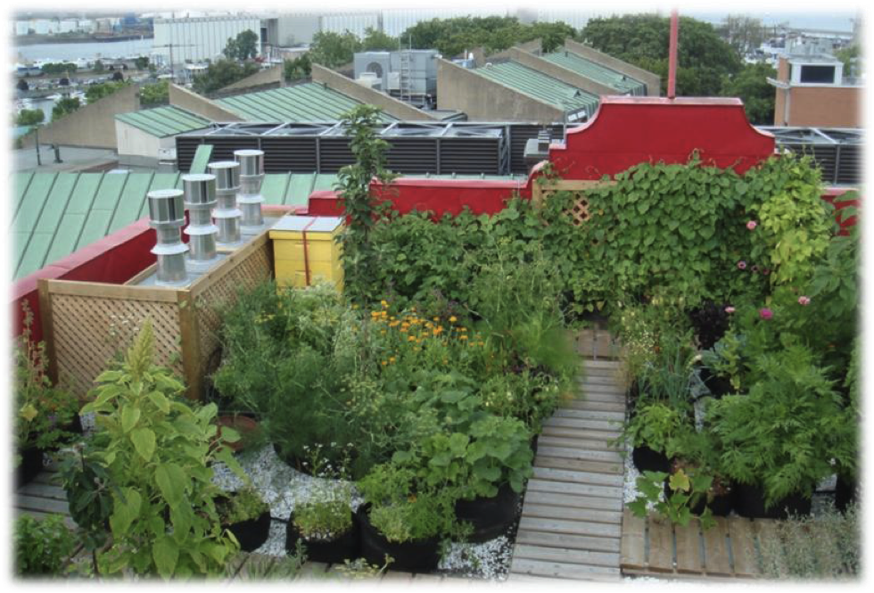 Soyez innovateur : aménagez un jardin