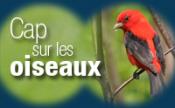 Cap sur les oiseaux � la Biosph�re