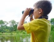 Les jardins du CRAPAUD - Camp de jour 2013