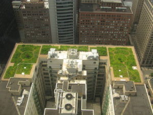 640px-20080708_chicago_city_hall_green_roof