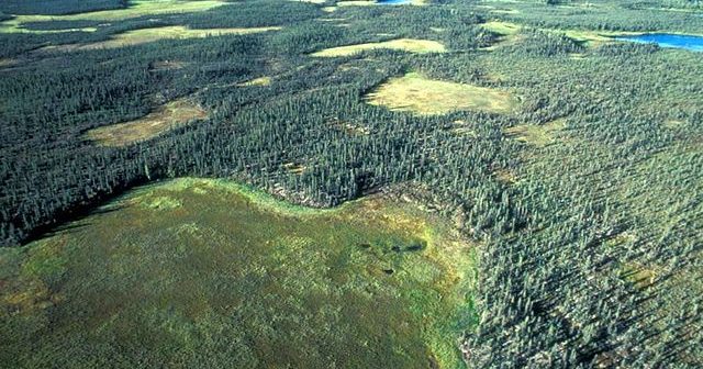 640px-Aerial_view_of_national_park_forest