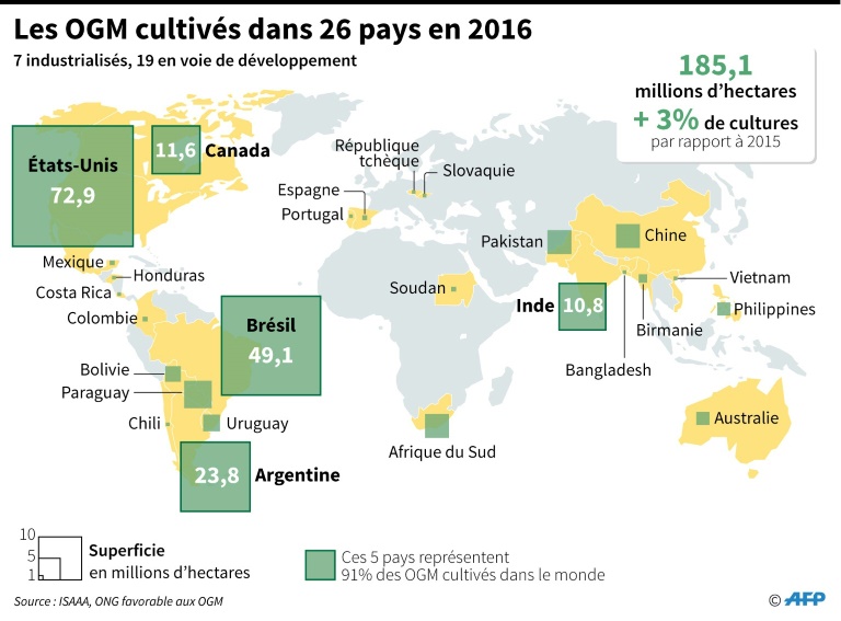 AFP / Simon MALFATTO, Paz PIZARROLes OGM cultivés dans 26 pays en 2016 