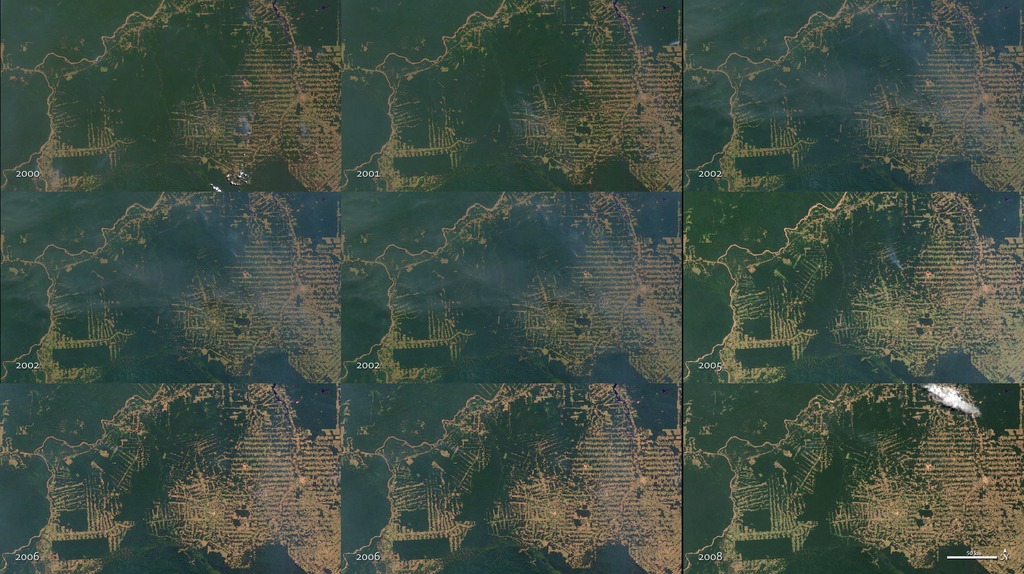 Déforestation de l'état de Rondonia (Amazonie) de 2000 à 2008. Crédit photo: NASA/Goddard Space Flight Center