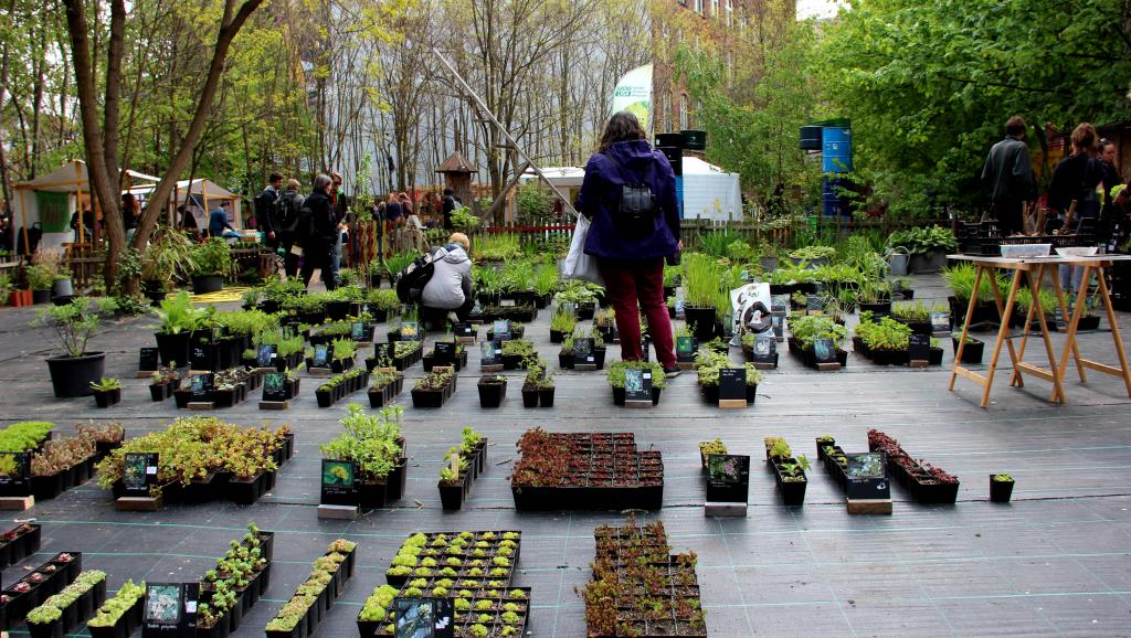 Au Prinzessinnengarten, la bourse d'échange des plantes bat son plein. Dans le monde, Berlin est la ville où l'on trouve le plus de jardins urbains. Photo: RFI/Marc Verney